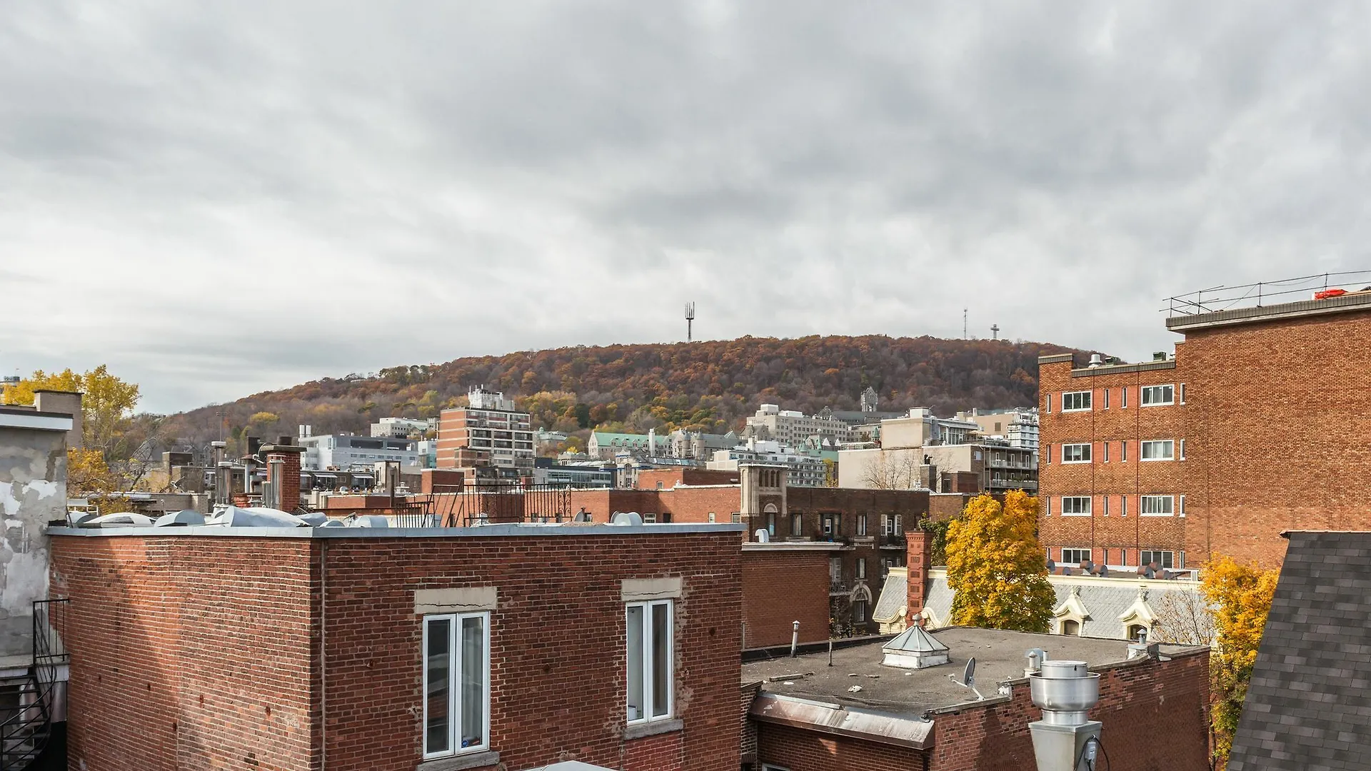 Central 3Br Apartment In Plateau/Downtown Montreal